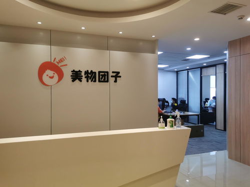 武漢美物團子科技服務 專業(yè)的技術支持與創(chuàng)新解決方案